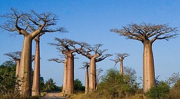 come-arrivare-madagascar