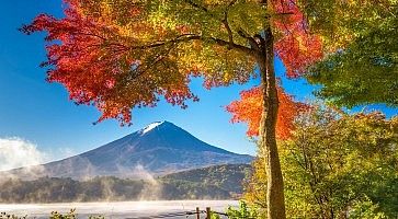 Fuji in Fall