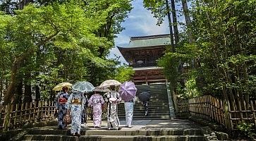 Ragazze in Kimono salgono le scale che portano in un tempio a Kamakura.