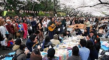 Folla di persone, alcuni camminano, altri fanno un pic nic, al Parco di Ueno in primavera.
