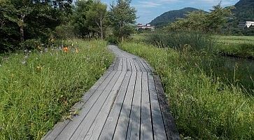 giardino-botanico-hakone