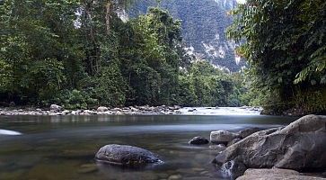 gunung-mulu-national-park