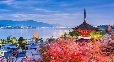 Panorama con pagoda tradizionale e fiori di ciliegio in Giappone.