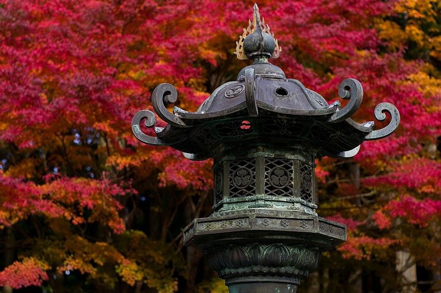 By: masatoshi_