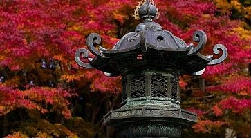 Lanterna di metallo con foglie autunnali rosse sullo sfondo.