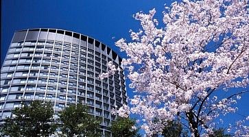 L'edificio dell'Hotel Grand Arc Hanzomon, in primavera, con in primo piano un sakura in fiore.