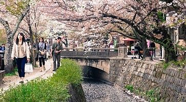 Persone camminano a Kyoto, lungo la passeggiata del filosofo in primavera.