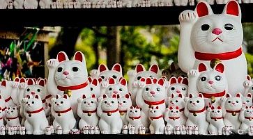 Statue di gatti portafortuna "maneki neko" al Tempio Gotokuji a Tokyo.