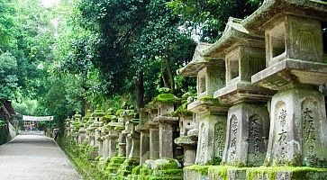 Lanterne in pietra al Kasuga Taisha, a Nara.