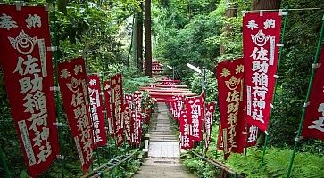 Le scale che portano al Sasuke Inari di Kamakura.
