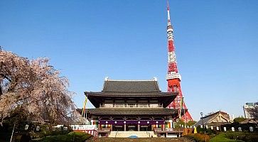 Il tempio Zojo-ji e sullo sfondo la Tokyo Tower.