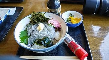 Donburi con pesci shirasu al ristorante Uomitei.