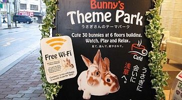 Insegna pubblicitaria dell'usagi cafe "With Bunny".
